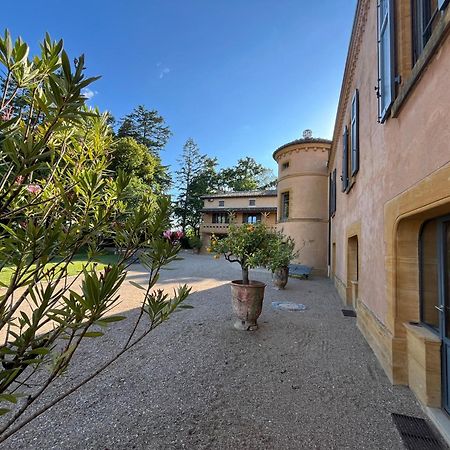 Chateau De Briante Saint-Lager Bagian luar foto