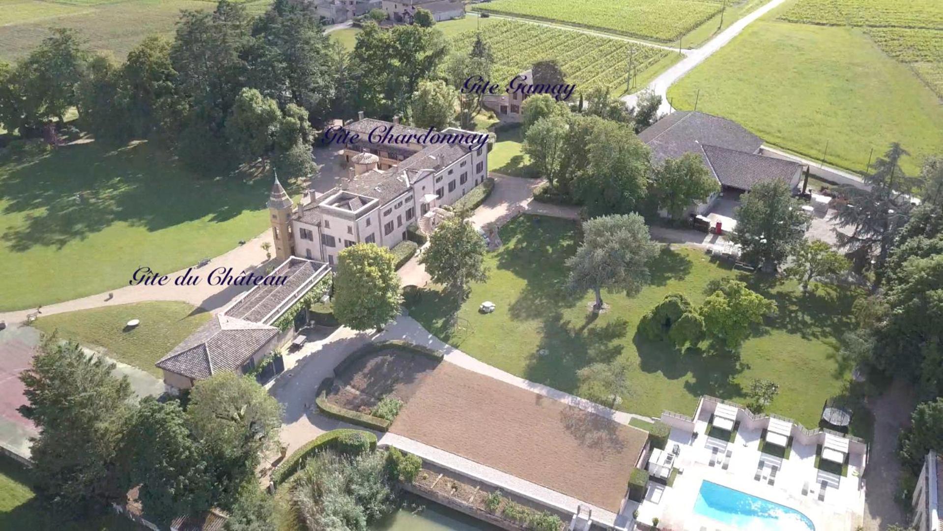 Chateau De Briante Saint-Lager Bagian luar foto