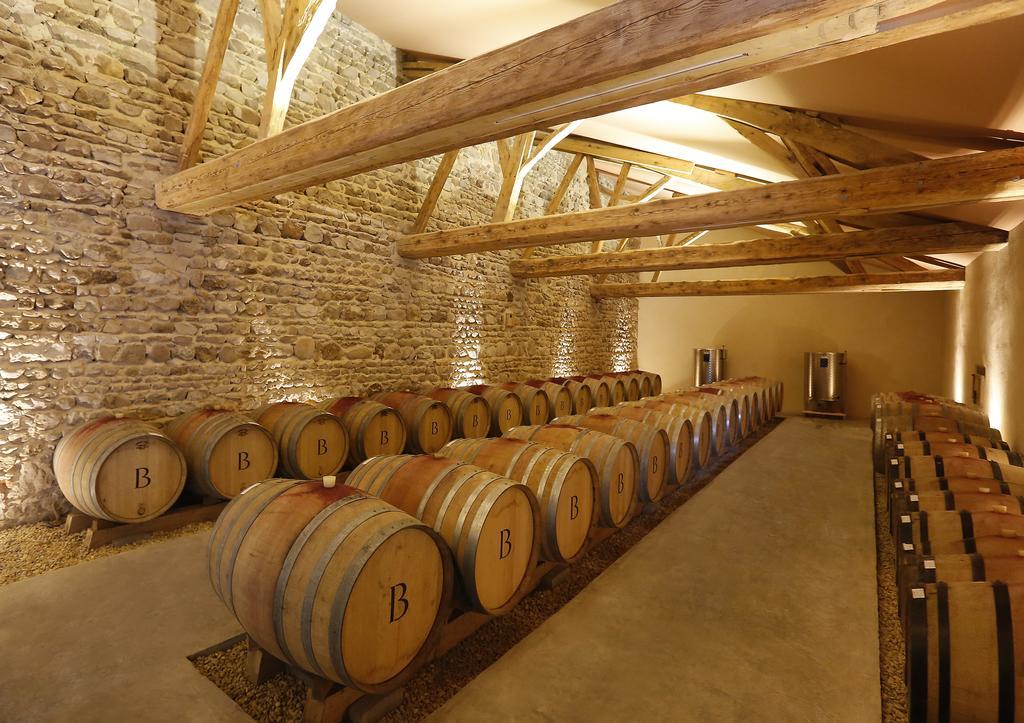 Chateau De Briante Saint-Lager Bagian luar foto